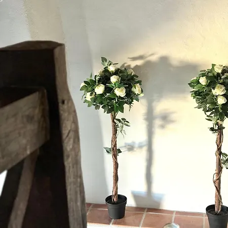 Le Manoir Medieval De Garance Holiday home Chateaumur