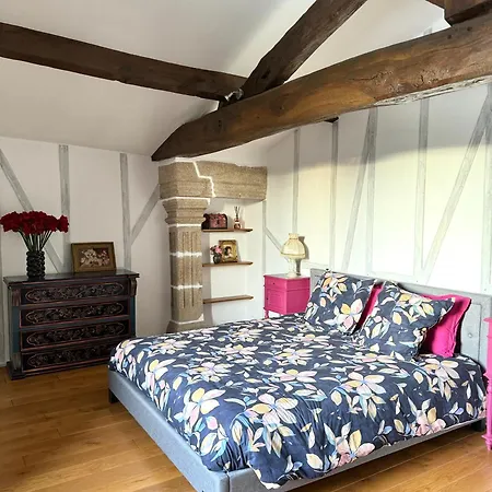 Le Manoir Medieval De Garance Holiday home Chateaumur